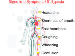 4 mechanisms of hypoxia, causes of hypoxia primary indicator mechanism example, hif-1 and mechanisms of hypoxia sensing, hypoxia mechanism of death, mechanism of action nitrate muscle contraction hypoxia, mechanism of calcium influx due to hypoxia, mechanism of hypoxia in alveolar inflammation, mechanism of hypoxia in pulmonary embolism, mechanism of hypoxia in severe pneumonia, mechanism of hypoxia slideshare, hypemic hypoxia , hypoxia pronunciation , hypoxia chamber, hypoxy, late signs of hypoxia, hypoxia synonym, free radical induced cell injury, free radical induced cell injury ppt, mechanism of free radical induced cell injury,