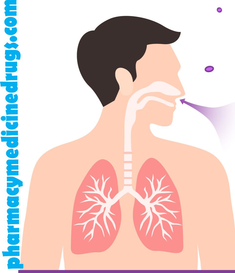 respiratory system, respiratory system diagram, respiratory system function, what is the purpose of the respiratory system, what is the respiratory system, what is the purpose of the respiratory system, what is the respiratory system, what does the respiratory system do, what is the main function of the respiratory system, what is the function of the respiratory system, repatory system, repatory system, respirtory system, respitory system, respritory system, respiratory system cells tissues and cells , function of the respiratory system, the respiratory system , what does the respiratory system do , what is the main function of the respiratory system , quizlet on respiratory system , respiratory system 3d model , respiratory system powerpoint, the ________ is shared by the respiratory and digestive systems, respiratory system case study answer, 3.01 medical terminology chart respiratory system , brainpop respiratory system, pig respiratory system, respiratory system worksheet, a&p 2 lab practical respiratory system , respiratori system, how does the respiratory system works, function of the respiratory system: , what is respiratory system., what is respiratory systems, 3 facts about the respiratory system, 30 surprising facts about the respiratory system, 5 fun facts about the respiratory system, agnatha respiratory system, alcohol suppresses the respiratory system., respiratory system and nervous system, respiratory system label, respiratory system in space, fun facts about the respiratory system, respiratory and digestive system, respiratory system quizlet, which of the following are functions of the respiratory system , how does the respiratory system maintain homeostasis, how does the respiratory system help maintain homeostasis, respiratory system drawing, which of the following are functions of the respiratory system , how does the respiratory system help maintain homeostasis, how does the respiratory system maintain homeostasis, how does respiratory system maintain homeostasis, is the esophagus part of the respiratory system , how does the respiratory system work with the digestive system , is esophagus part of the respiratory system, how does stress affect your respiratory system, how does the digestive system work with the respiratory system , what does cilia do in the respiratory system,