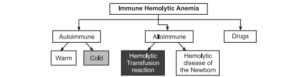 acquired hemolytic anemia, acquired autoimmune hemolytic anemia, acquired hemolytic anemia icd 10, acquired hemolytic anemia treatment, acquired hemolytic anemia unspecified, what is acquired hemolytic anemia, how to treat acquired hemolytic anemias, how does hdn cause acquired congenital hemolytic anemia, what is the treatment for acquired hemolytic anemia, acquired autoimmune hemolytic anemia, hemolytic anemia examples, autoimmune disease anemia types, hemolytic anemia occurs when, alloimmune hemolytic anemia, hemolysis , hemolytic anemia, anemia definition , anemic definition , anemia causes, hemolytic , types of anemia , anemia meaning , autoimmune hemolytic anemia, aiha ,